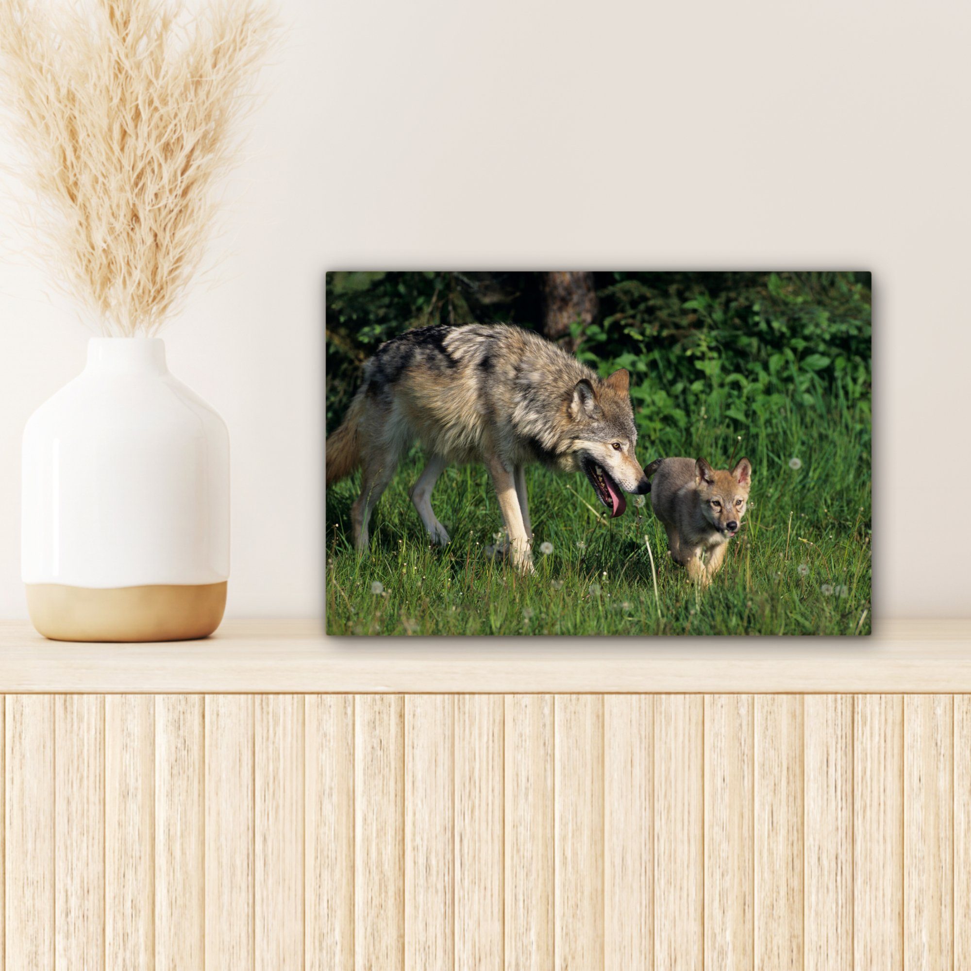 Gras, St), Baby (1 Wandbild - Wanddeko, Wolf cm 30x20 Leinwandbild - Leinwandbilder, Aufhängefertig, OneMillionCanvasses®