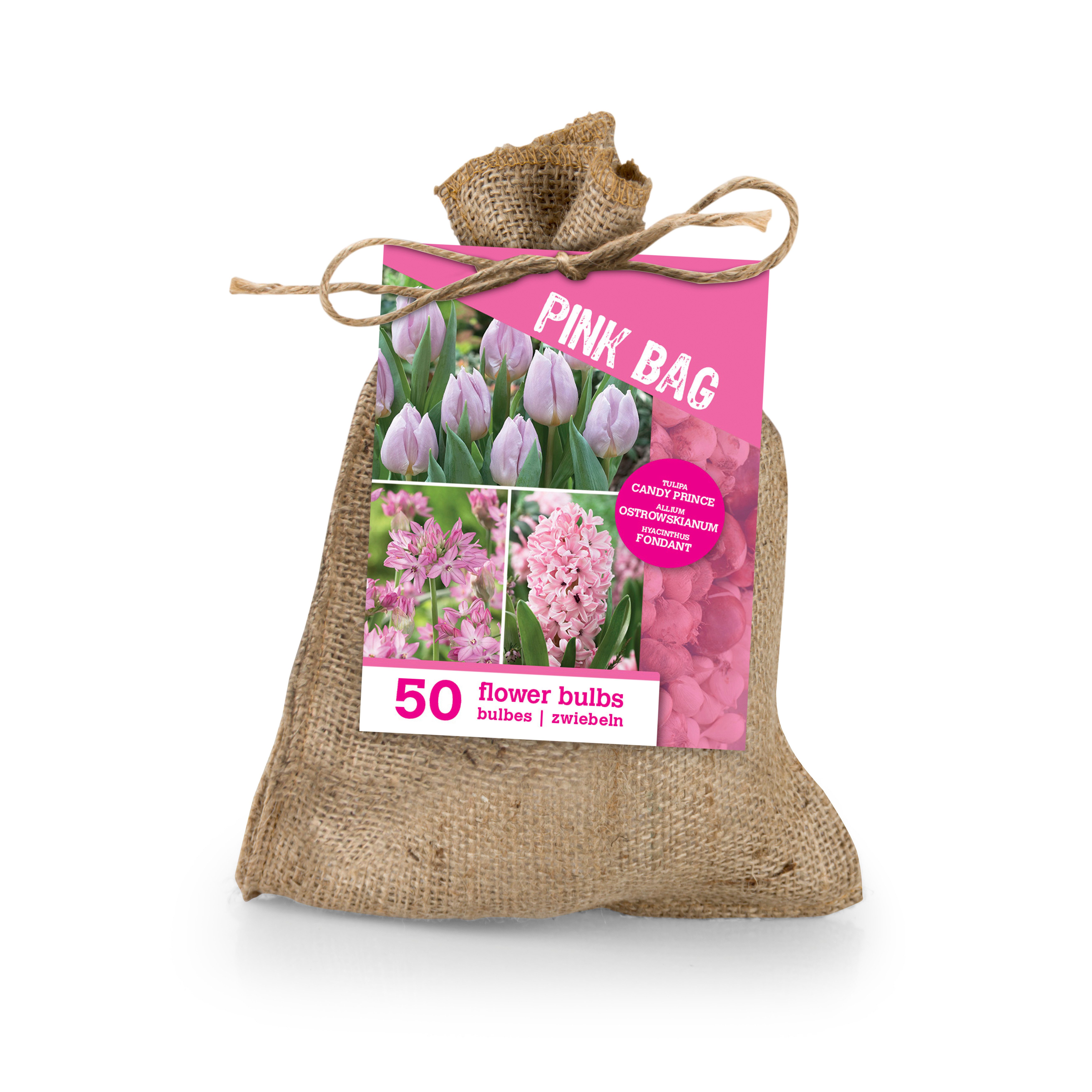 Bloomique Blumenzwiebeln Bloomique - 50er-Mix - Die rosa Tüte - Rosa Mix - Tulpen, Hyazinthen, (50-St)