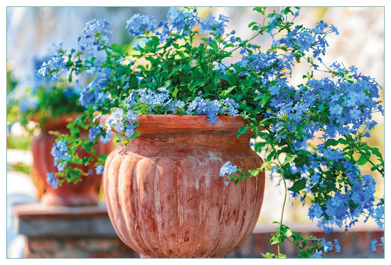 Wallario Küchenrückwand Blaue Blumen in einer Steinvase, (1-tlg)