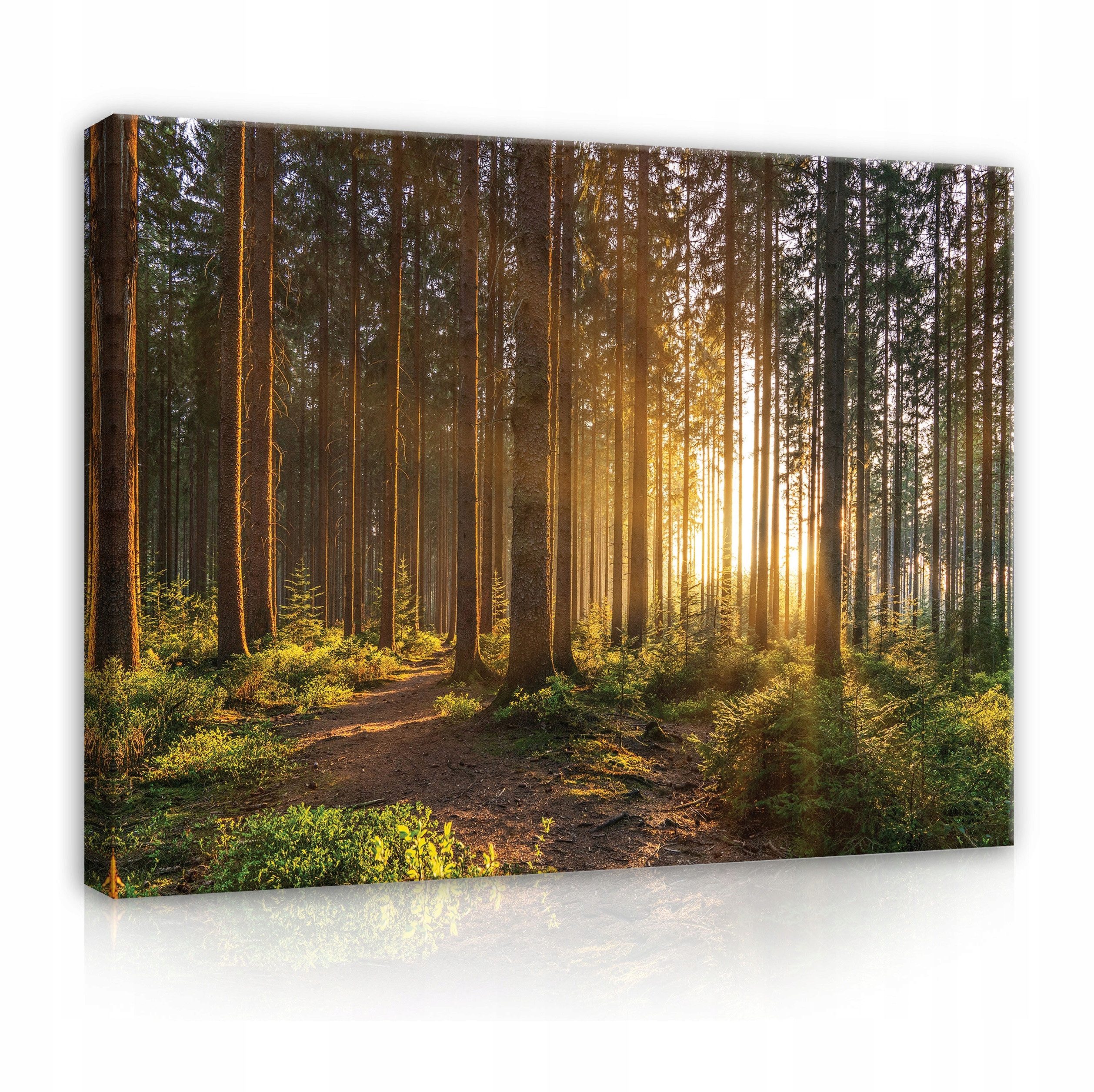 Wallarena Leinwandbild Wald Sonne Natur Grün Wandbild Groß Wandbilder Leinw günstig online kaufen