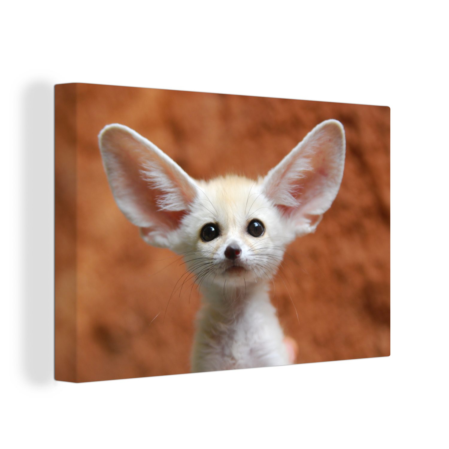 OneMillionCanvasses® Leinwandbild Fuchs - Baby - Tiere, (1 St), Wandbild Leinwandbilder, Aufhängefertig, Wanddeko, 30x20 cm