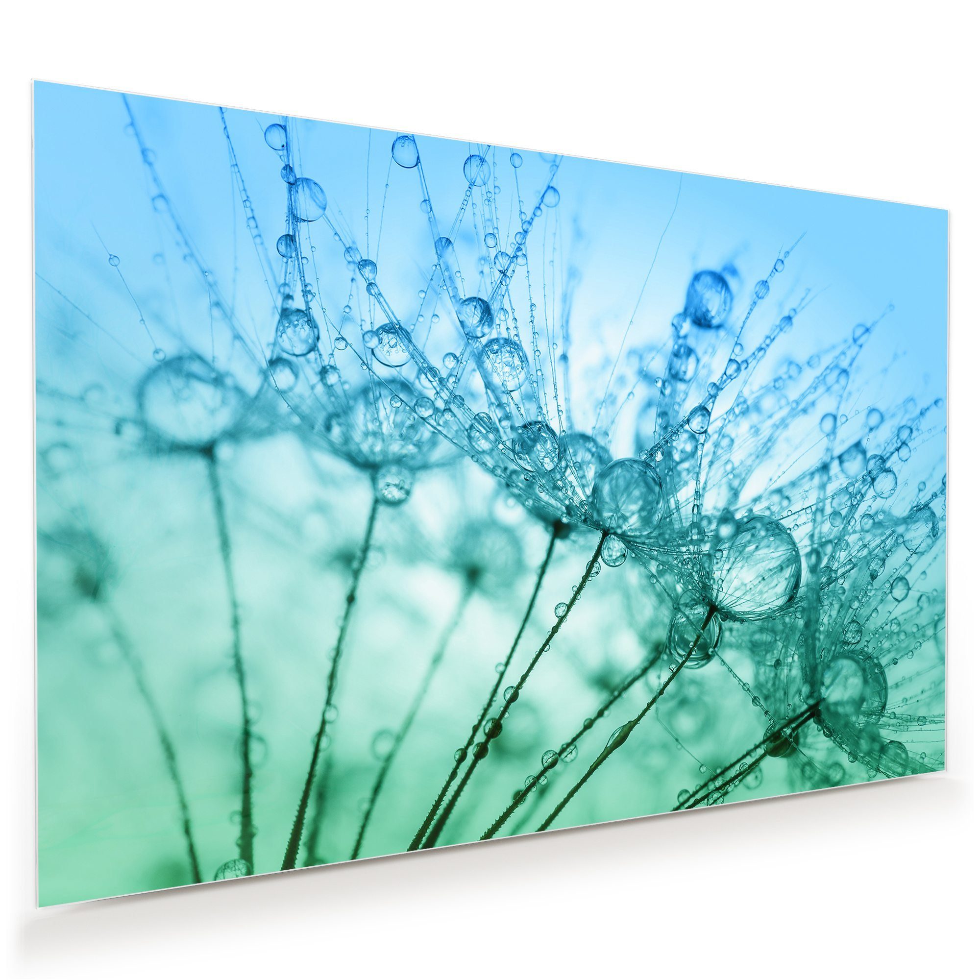 Primedeco Glasbild Wandbild Wassertropfen auf Löwenzahn mit Aufhängung, Blumen (21 verschiedene Größen, 1 St), Elegante Aufhängung