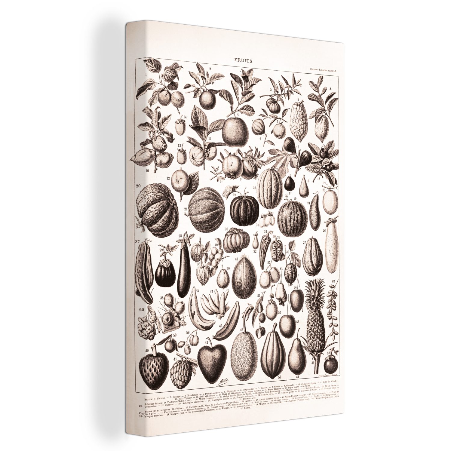 OneMillionCanvasses® Leinwandbild Obst Schwarz Zackenaufhänger, cm fertig bespannt Weiß, 20x30 (1 - Leinwandbild - - St), inkl. Gemälde, Lebensmittel