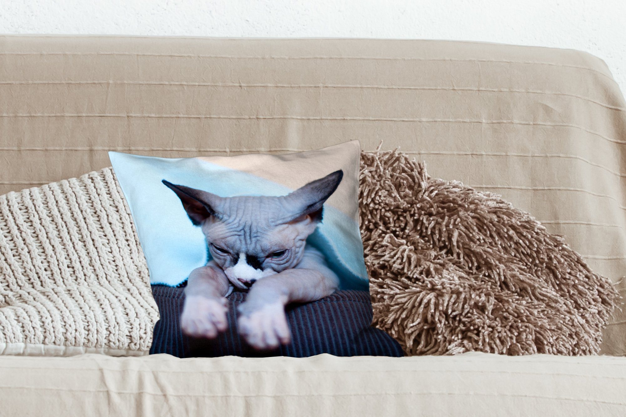 Zierkissen Sofa, Sofakissen Dekokissen für Füllung schläfrige dem mit Wohzimmer, Deko, Schlafzimmer, MuchoWow auf Eine Sphynx-Katze