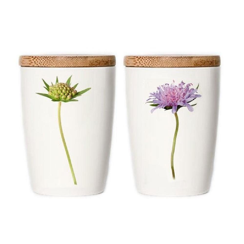 Simply Flowers Vorratsdose Tasse Acker Witwenblume (Klein)