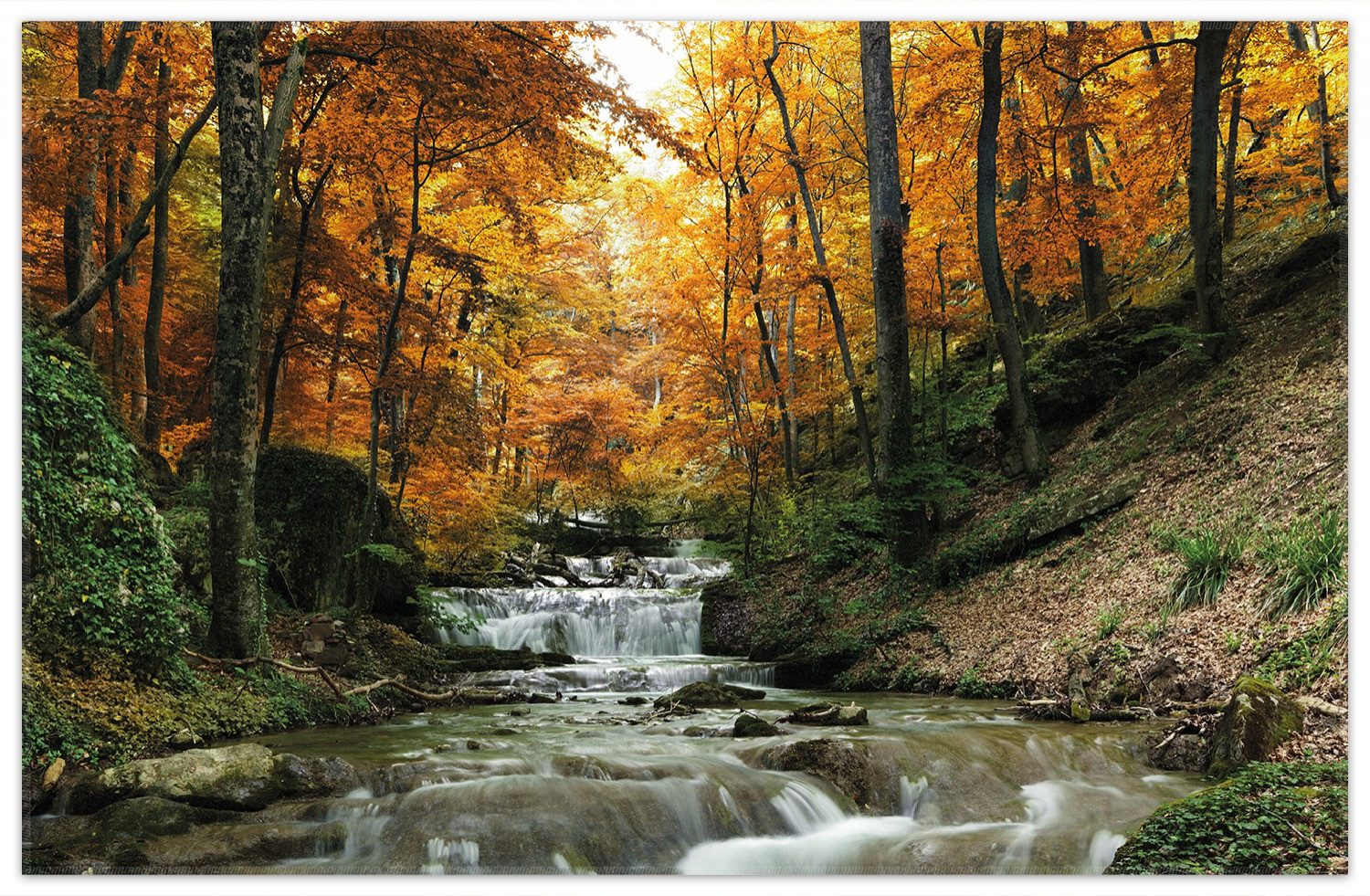 Wallario Teppich Kleiner Bach über Steine im Herbstwald, rechteckig, rutschfest