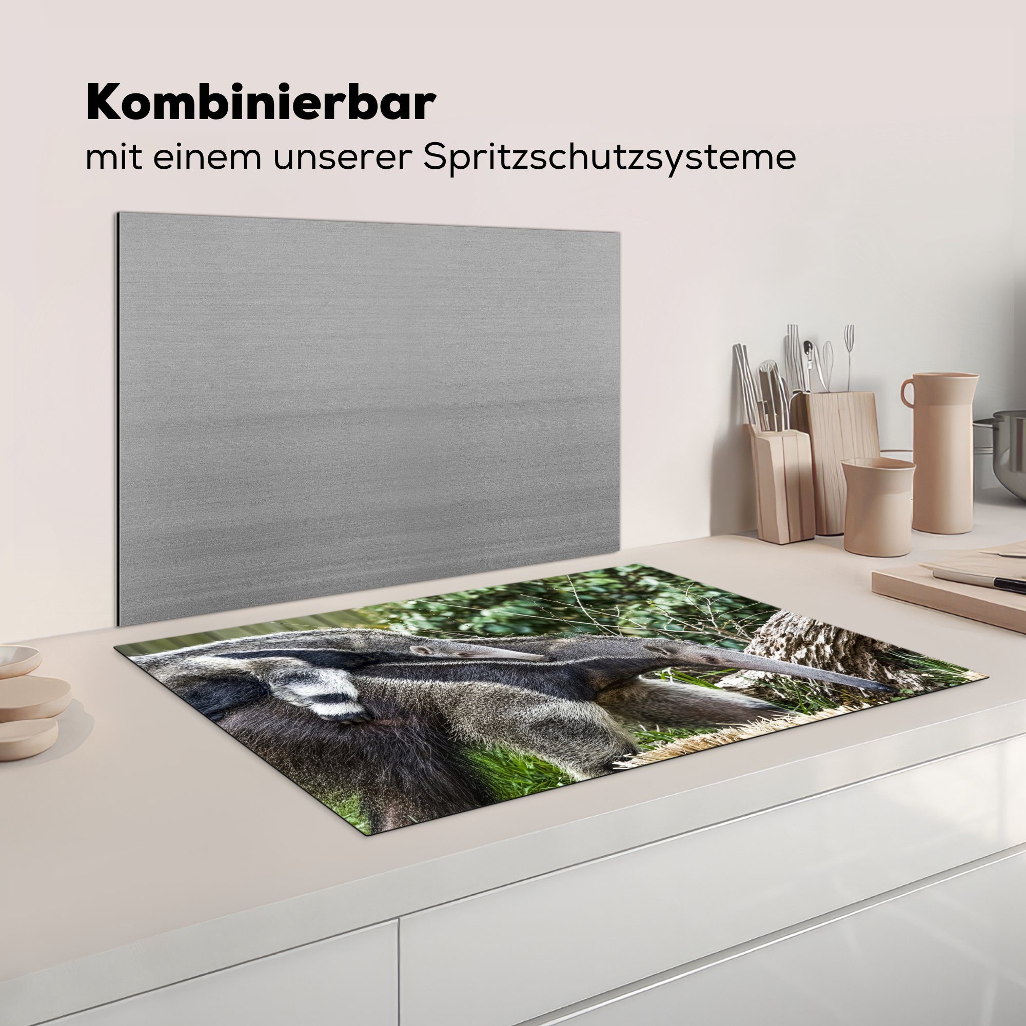 Ceranfeldabdeckung tlg), Ameisenbär Vinyl, - 81x52 Tier, Schutz Pflanze Induktionskochfeld für die küche, - (1 cm, Herdblende-/Abdeckplatte MuchoWow