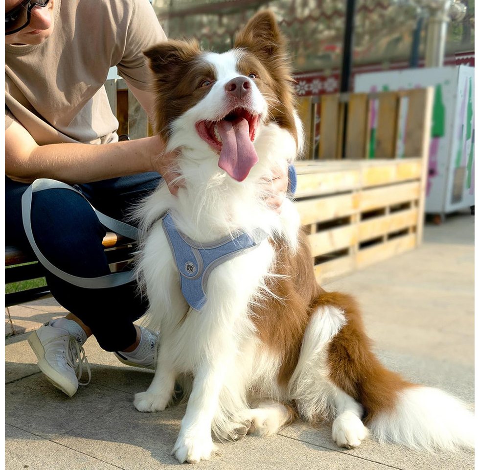 Thumbnail - Beaface Hunde-Geschirr Verstellbares Comfort Geschirr sicherheitsgeschirr- mit Leine, Softgeschirr mit Leine