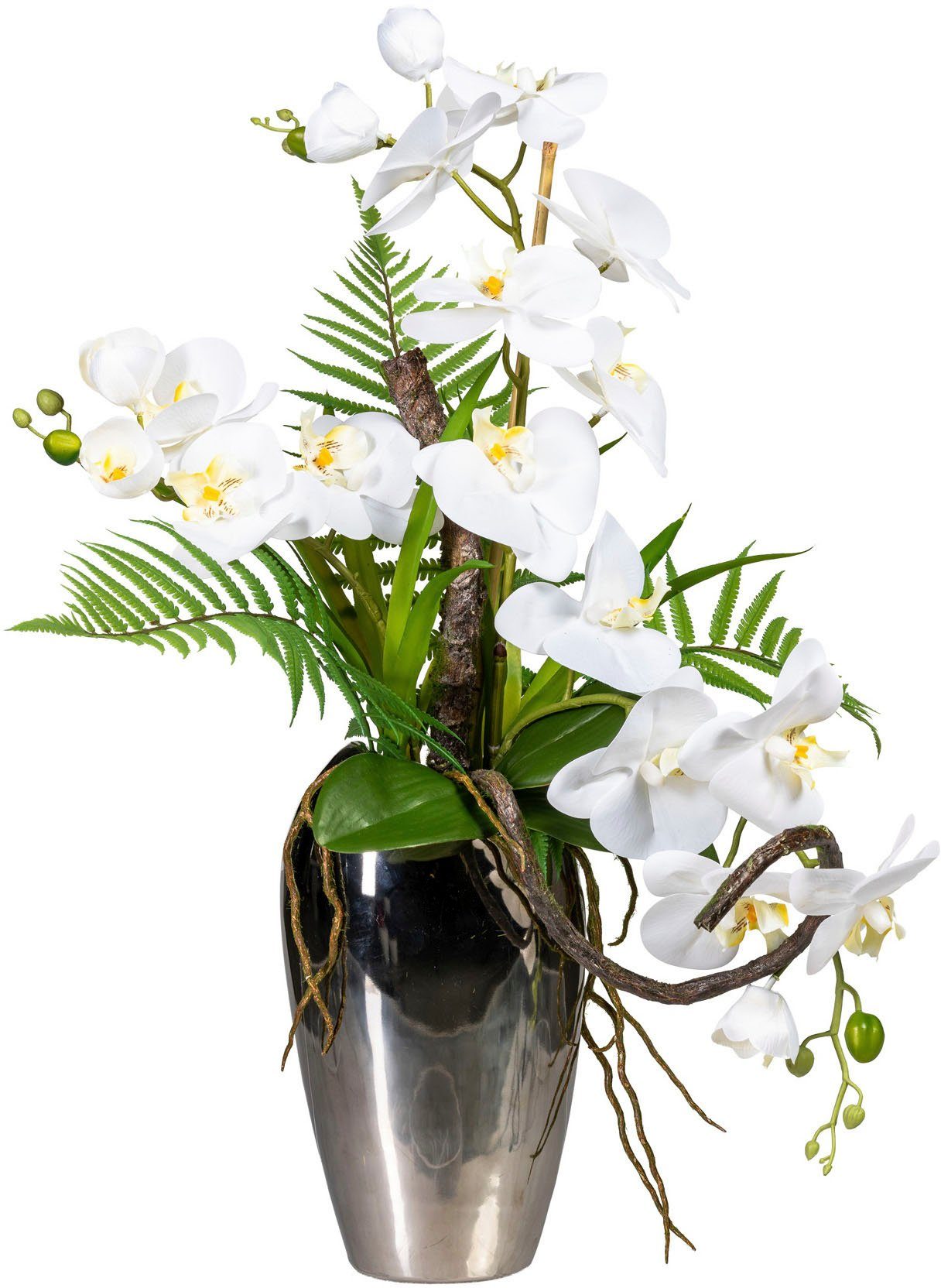 in Creativ 70 Phalaenopsis, Phalaenopsisarrangement Kunstorchidee Orchidee Höhe cm Keramikvase green,