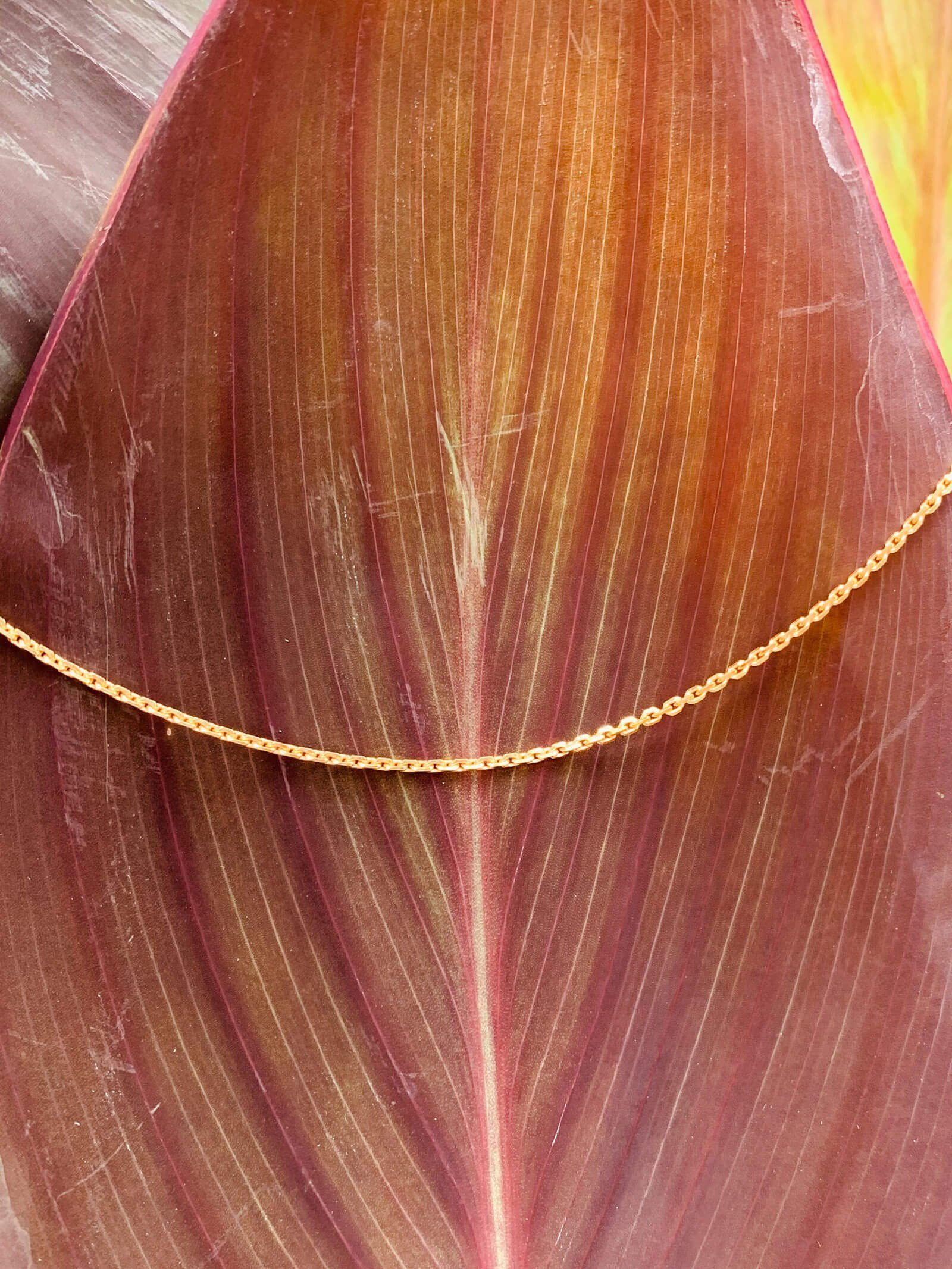 modabilé Gliederkette Ankerkette DELICATE Vergoldet, Halskette Damen 35cm, 1,55mm, Kette ohne Anhänger Sterling Silber 925 – Bild 4 von 5