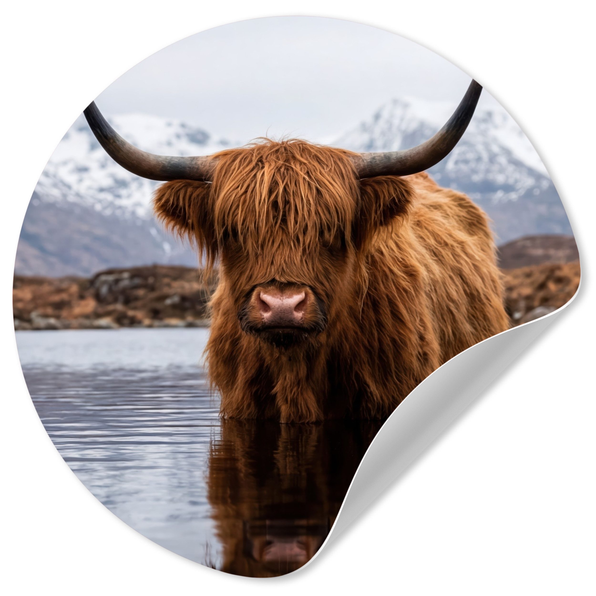 MuchoWow Wandsticker Schottischer Hochländer - Braun - Wasser (1 St), Wandtattoo Selbstklebend, Wohnzimmer Deko Aufkleber, 30x30 cm