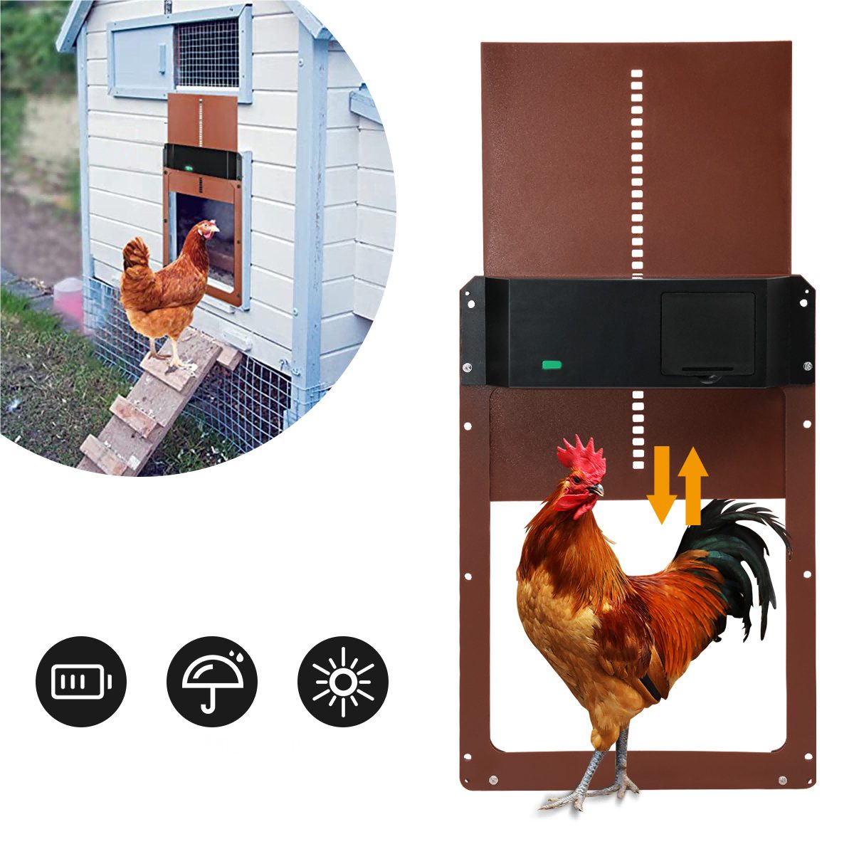 MULISOFT Hühnerstall »Automatische Hühnerstall Mit Lichtsensor«,  Hühnerklappe Türöffner Hühnertür, IP44 wasserdicht