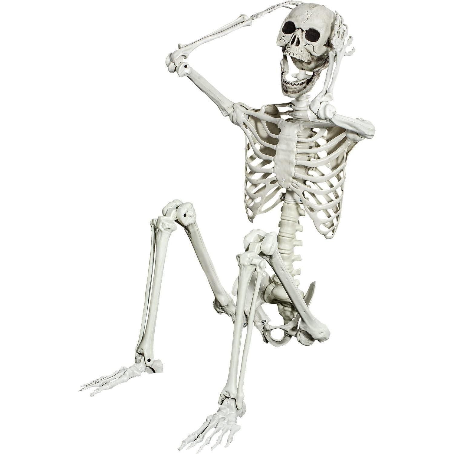 LuxusKollektion Skulptur 165CM realistisches Skelett Ganzkörper mit beweglichen Gelenken