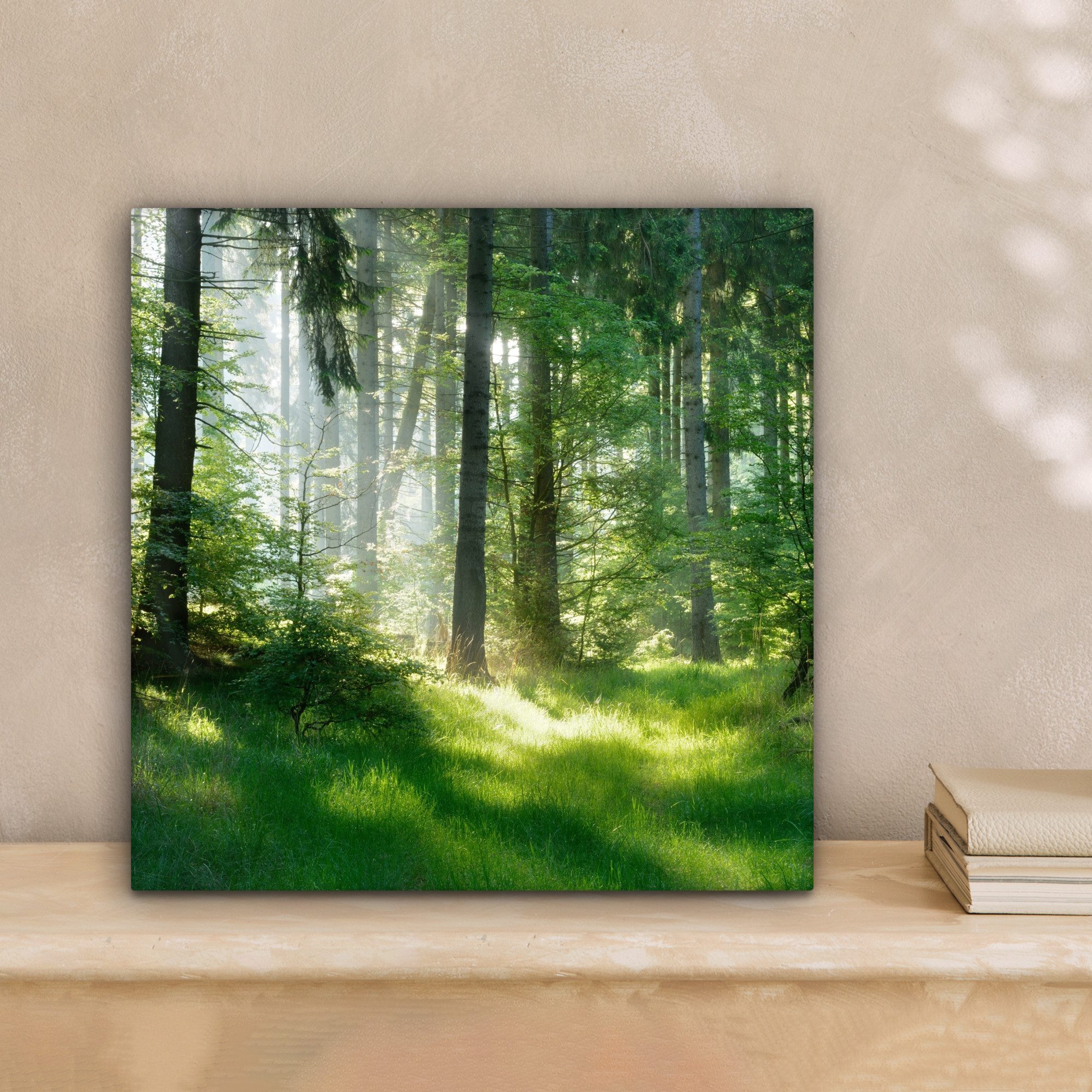 OneMillionCanvasses® Leinwandbild Natur - Bäume - Wald - Grün - Sonne - Gra günstig online kaufen