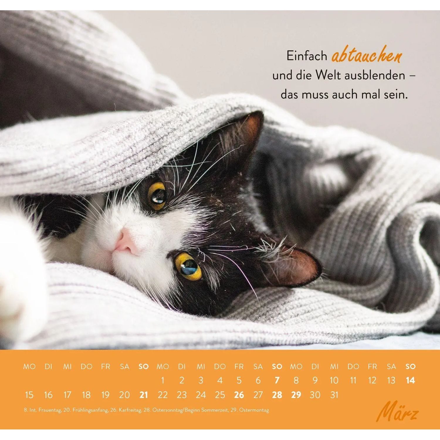 groh Verlag Wandkalender Wandkalender 2027: Einfach mal abhängen