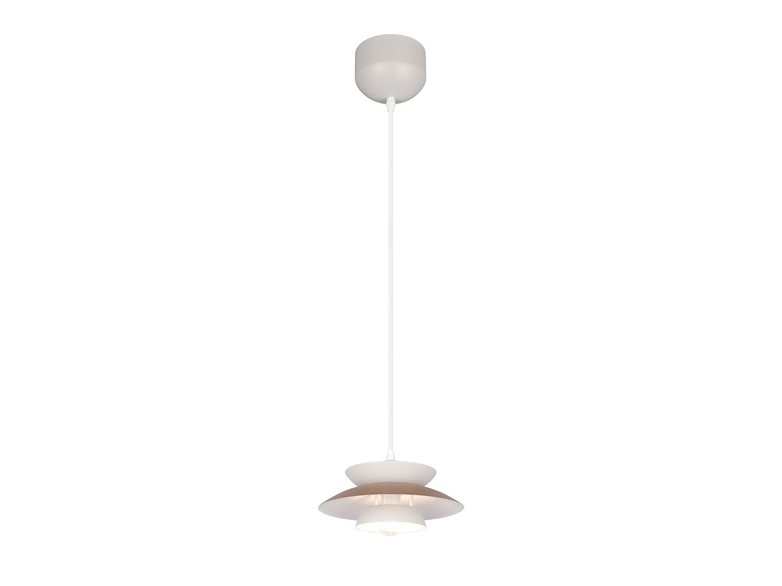 Reality Leuchten LED Pendelleuchte skandinavisch mit Metallschirm Ø 25cm, Dimmfunktion, LED wechselbar, Warmweiß, einflammig, Nordic Esstisch-Lampe hängend klein, inkl. Leuchtmittel