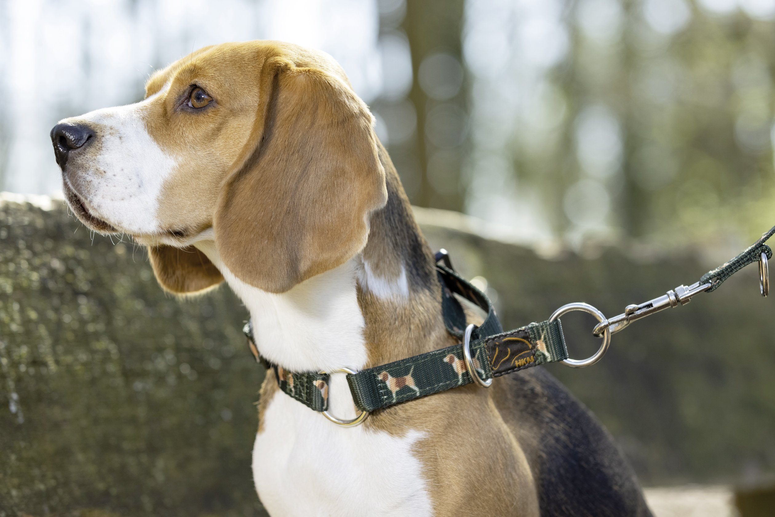 Polypropylen Hundehalsband HKM 100% Hunde-Halsband -Beagle-,