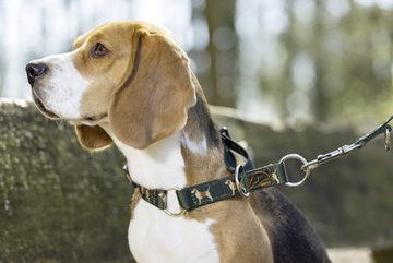 HKM Hunde-Halsband Hundehalsband -Beagle-, 100% Polypropylen