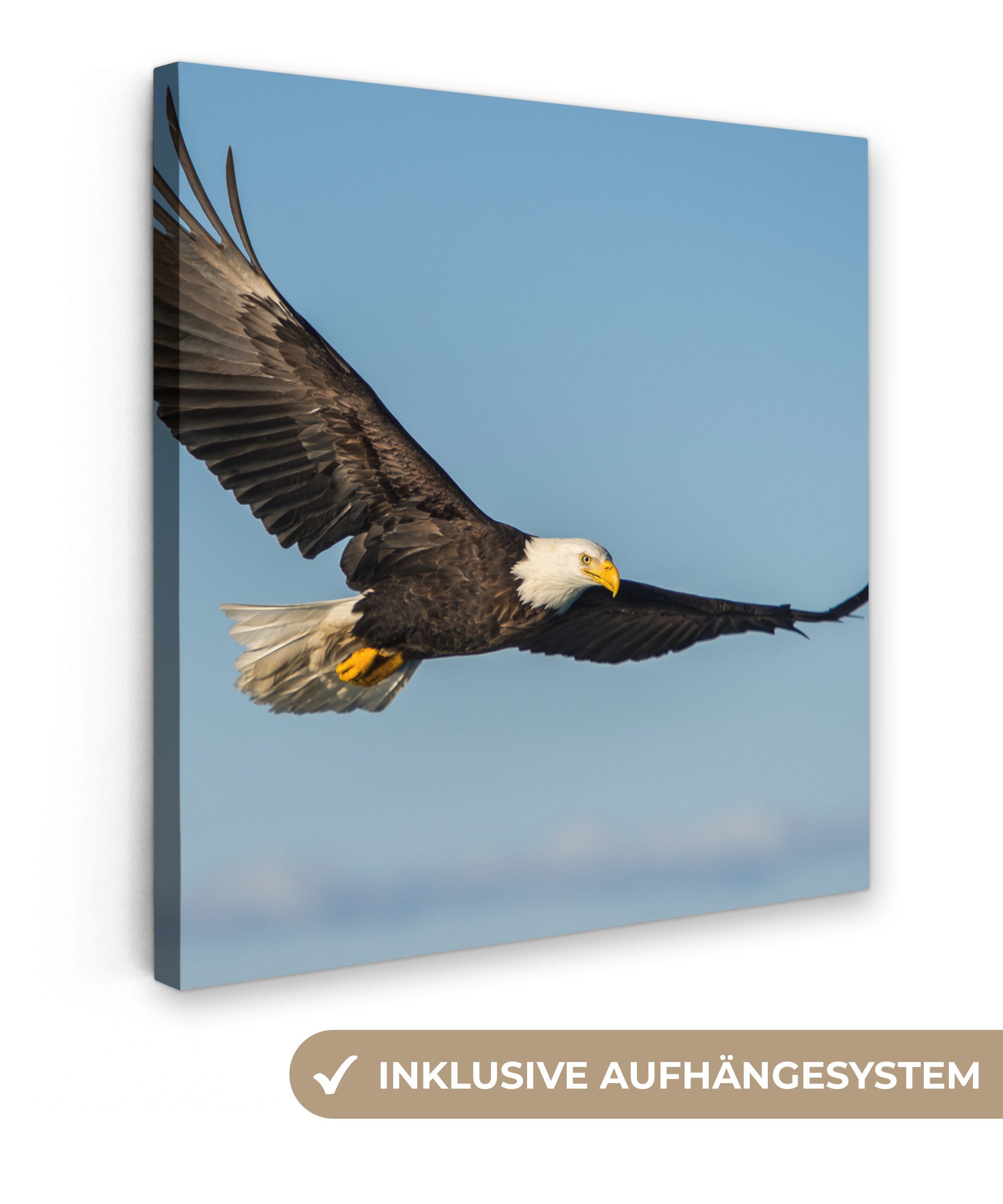 OneMillionCanvasses® Leinwandbild Vogel - Adler - Raubvögel, Fotodruck (1 St), Wandbild, Deko Schlafzimmer Wohnzimmer Flur 20x20 cm