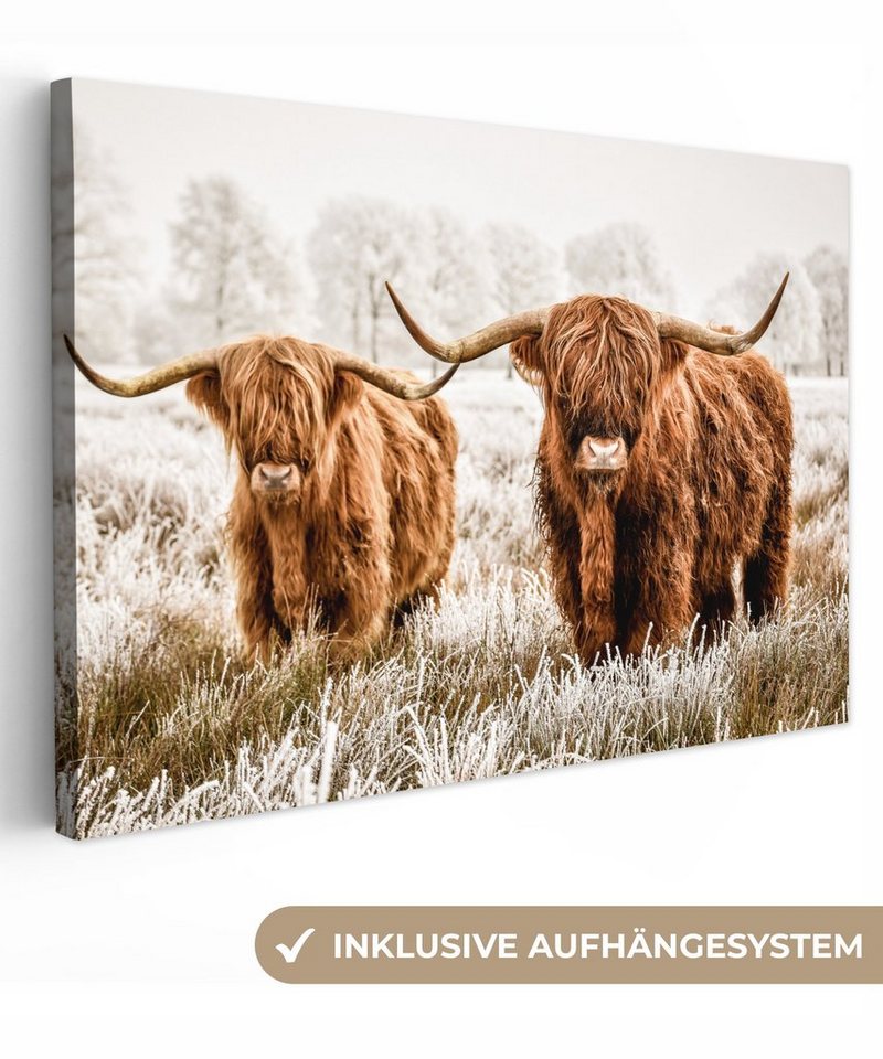 OneMillionCanvasses® Leinwandbild Schottischer Hochländer - Kuh - Natur -  Winter, (1 St), Wandbild Leinwandbilder, Aufhängefertig, Wanddeko, 30x20 cm