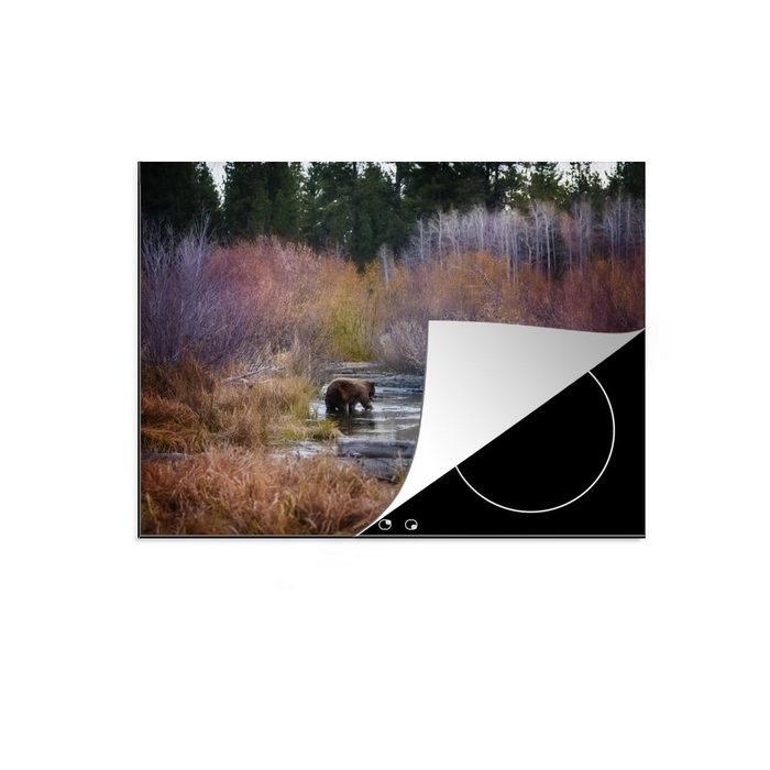 MuchoWow Herdblende-/Abdeckplatte Bild eines von Bäumen umgebenen Grizzlybären Vinyl (1 tlg) Mobile Arbeitsfläche nutzbar Ceranfeldabdeckung
