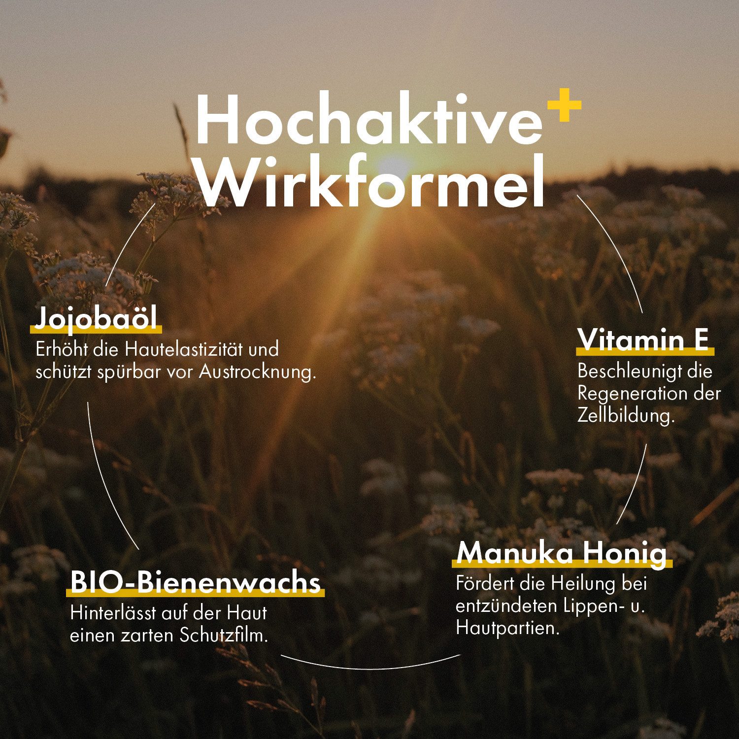 HC PRODUCTS Lippenbalsam Manuka Honig - natürliche Lippenpflege mit Bio-Bienenwachs, Pflegt trockene & spröde Lippen, spendet langanhaltende Feuchtigkeit