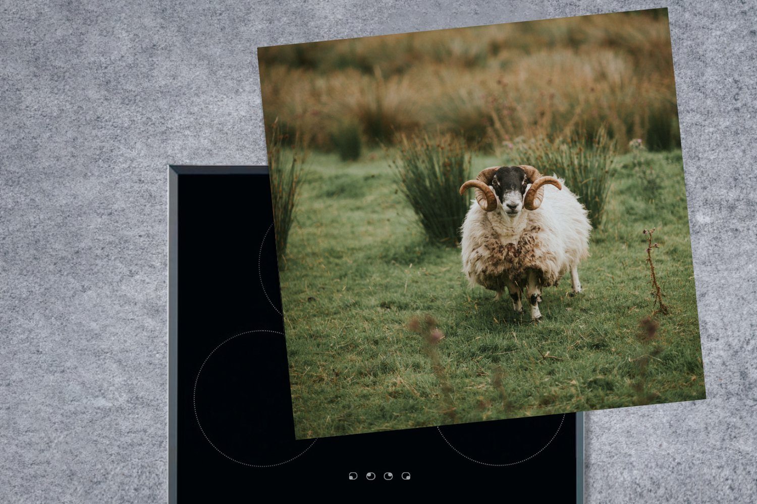 MuchoWow Herdblende-/Abdeckplatte Schafe - Horn cm, Arbeitsplatte Vinyl, tlg), 78x78 (1 küche für Fell, Ceranfeldabdeckung, 