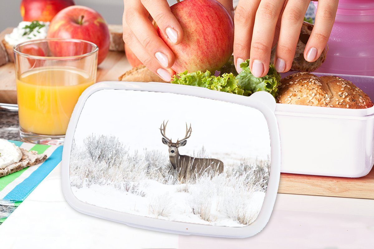 Winter Brotbox Brotdose, - MuchoWow - Jahreszeiten Kinder - für Schnee Erwachsene, und - - Weiß, für Hirsche Mädchen Lunchbox Jungs und Kunststoff, Tiere (2-tlg),