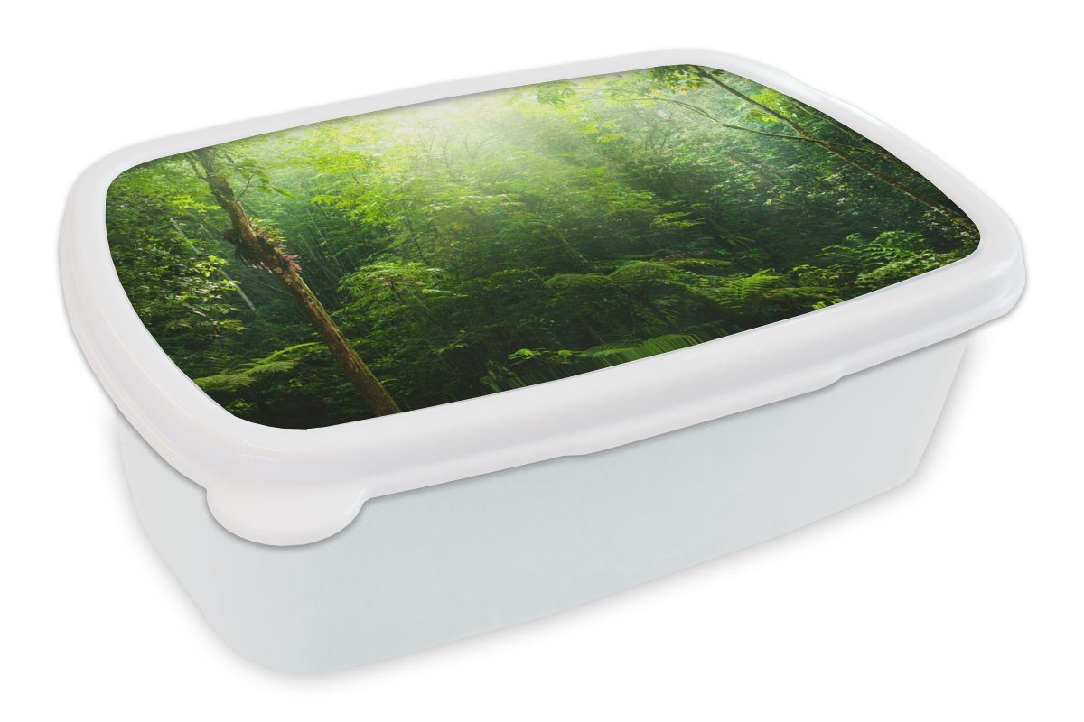 MuchoWow Lunchbox Dschungel - Sonnenlicht - Grün - Mädchen - Kinder - Jungen, Kunststoff, (2-tlg), Brotbox für Kinder und Erwachsene, Brotdose, für Jungs und Mädchen weiß
