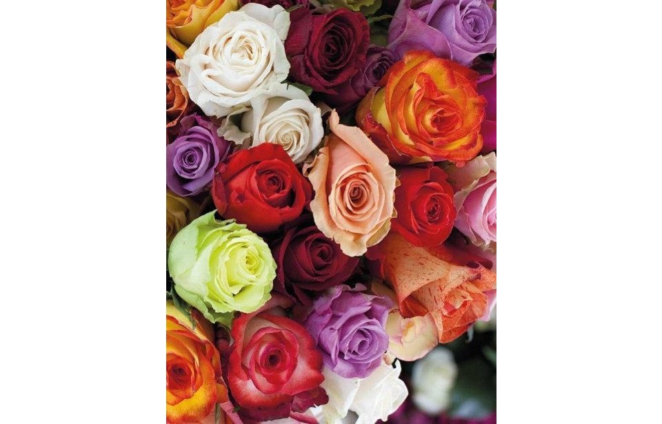 Notizbuch Roses