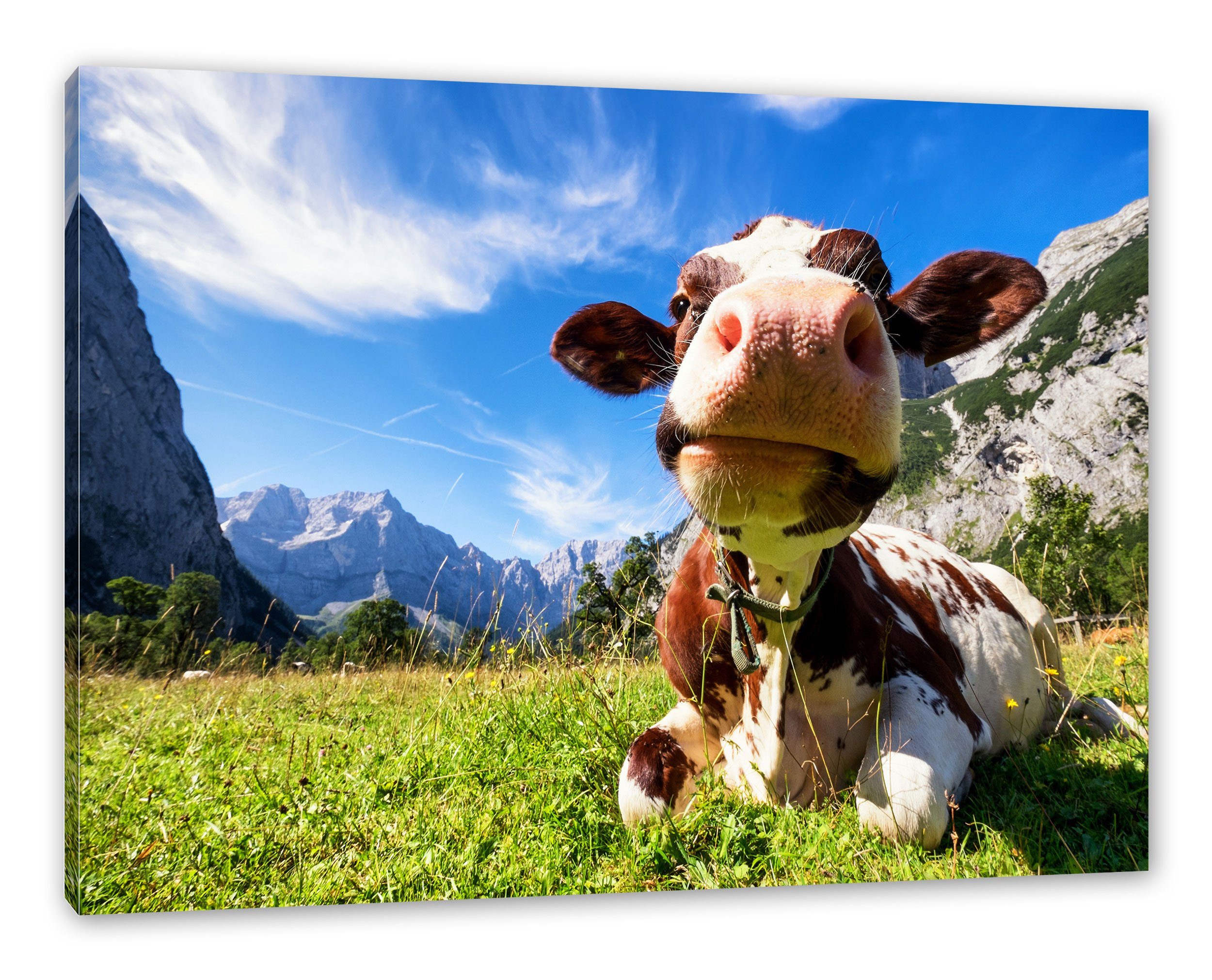 Pixxprint Leinwandbild Kuh im Karwendelgebirge, Kuh im Karwendelgebirge (1 St), Leinwandbild fertig bespannt, inkl. Zackenaufhänger