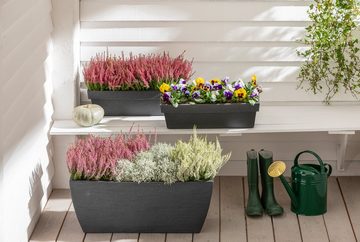 Dehner Blumentopf Blumenkasten Rillei, 80 x 40 x 34 cm, Kunststoff, Blumenkasten für Außen, robust, stilvoll und vielseitig