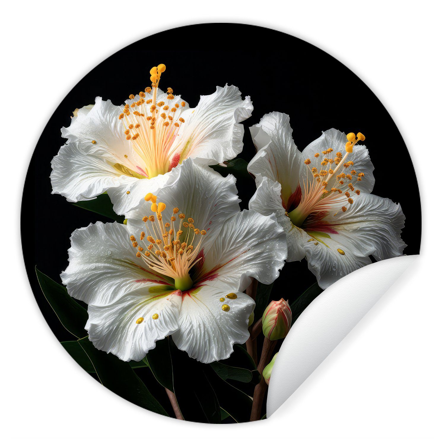 MuchoWow Wandsticker Blumen - Rund, Hibiskus St), - für (1 - Tapetenaufkleber, Tapetenkreis Wohnzimmer - Schwarz Kinderzimmer, Natur Weiß