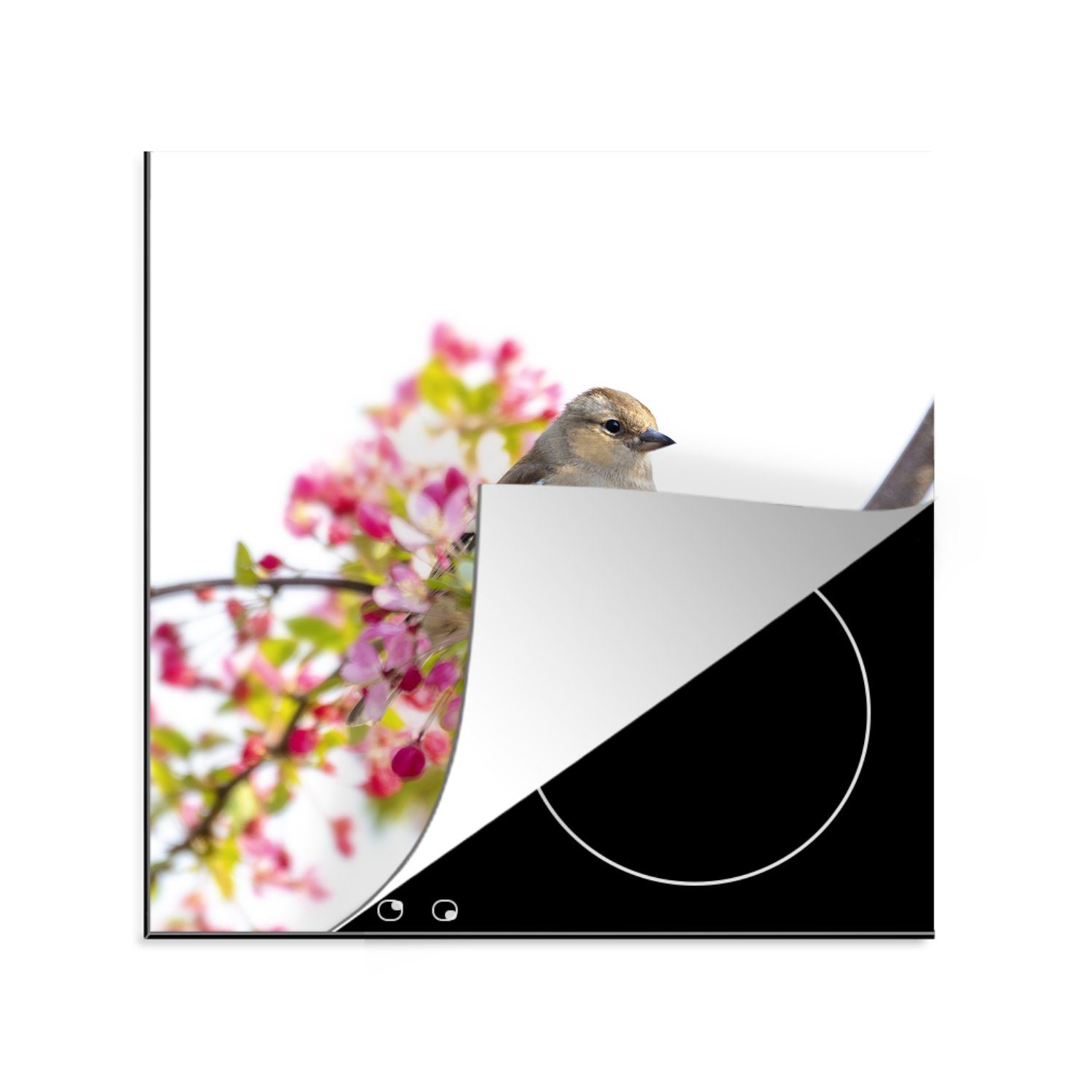 MuchoWow Herdblende-/Abdeckplatte Vogel zwischen rosa Blumen, Vinyl, (1 tlg), 78x78 cm, Ceranfeldabdeckung, Arbeitsplatte für küche