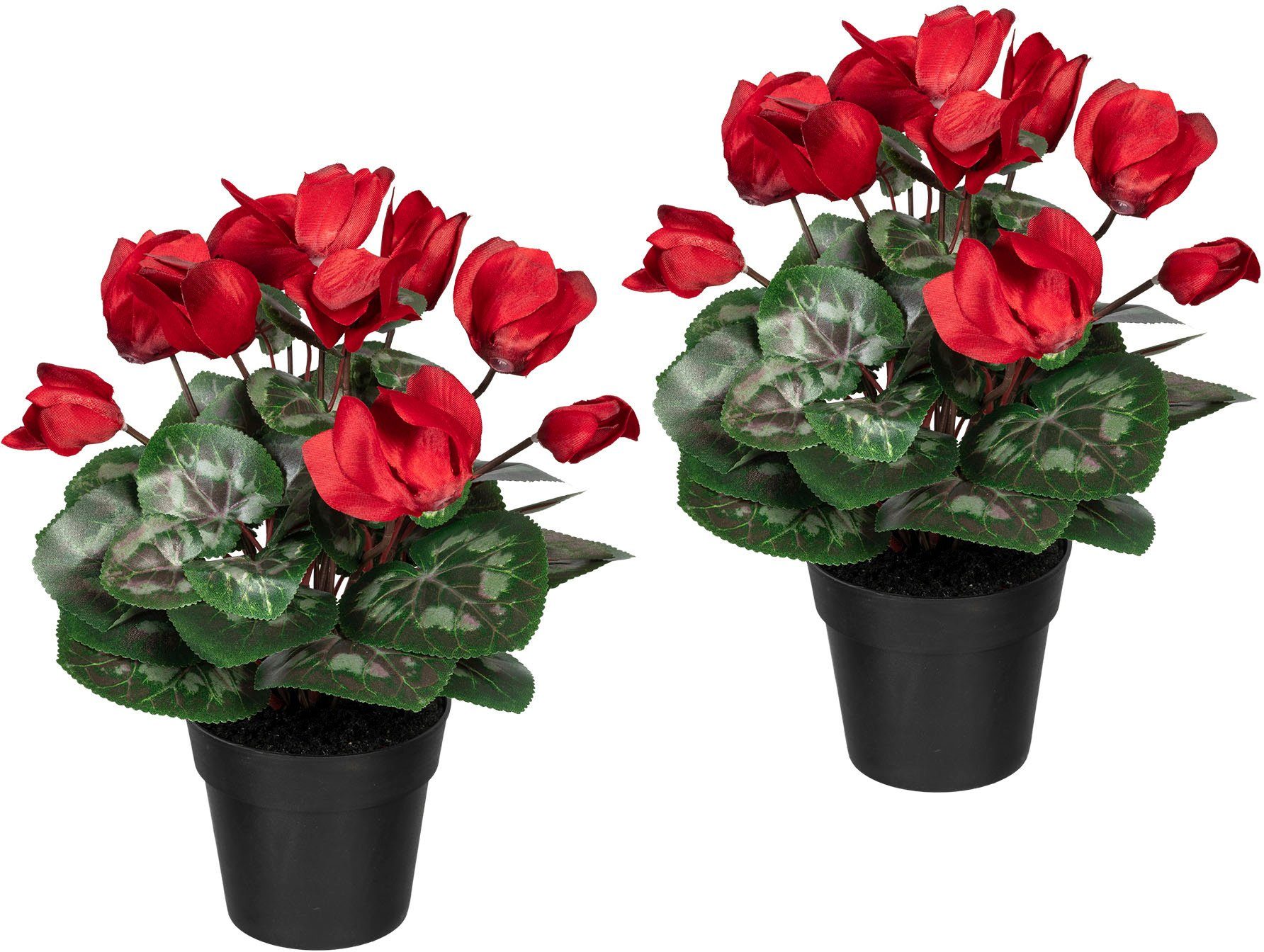 Künstliche Zimmerpflanze Alpenveilchen Alpenveilchen, Creativ green, Höhe 30 cm, 2er Set