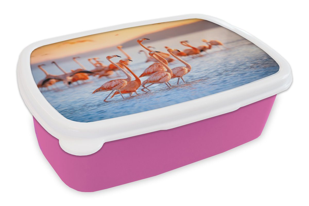 Bezahlbare Preise MuchoWow Lunchbox Flamingo - - Snackbox, Kunststoff, (2-tlg), Kunststoff Wasser Brotdose Brotbox für Mädchen, Kinder, Rosa, Erwachsene, - Tiere