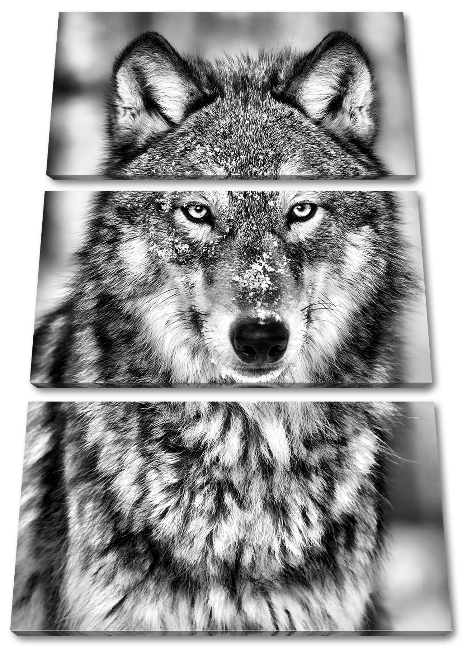 3Teiler Wachsamer Wachsamer Zackenaufhänger (120x80cm) Pixxprint Wolf fertig bespannt, St), Leinwandbild (1 inkl. Wolf, Leinwandbild