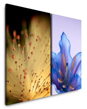 Sinus Art Leinwandbild 2 Bilder je 60x90cm Blüten Sommer Nahaufnahme Blau Zart Dekorativ Entspannend