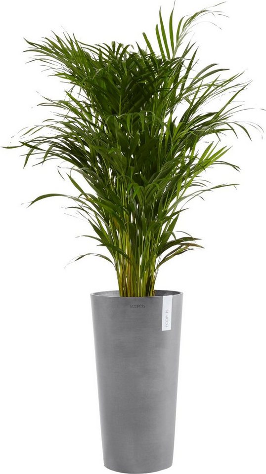 Thumbnail - ECOPOTS Blumentopf AMSTERDAM MID HIGH Grey, BxTxH: 34x34x66 cm