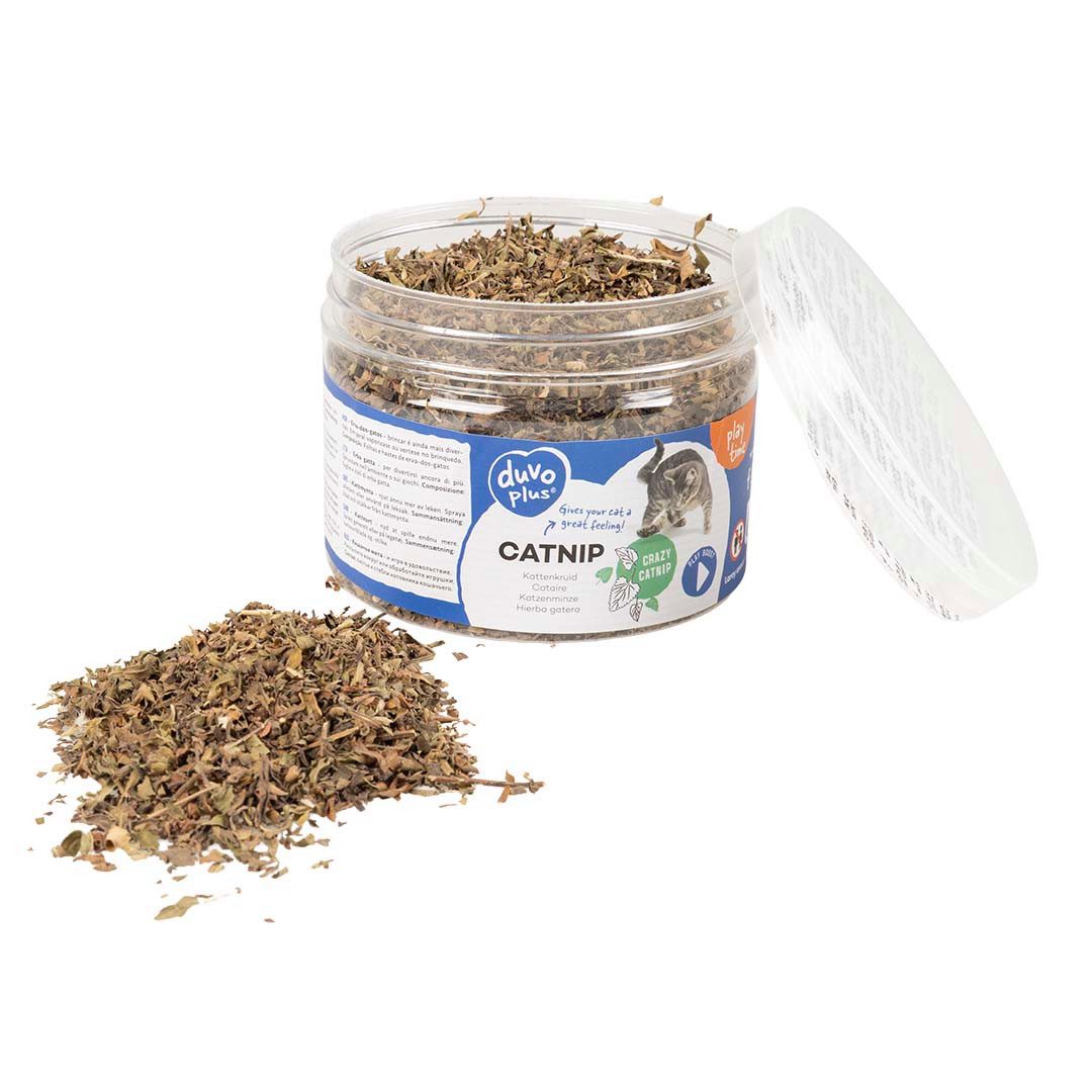 DUVO+ Tierkuscheltier Duvoplus Katzenminze Dose 30g