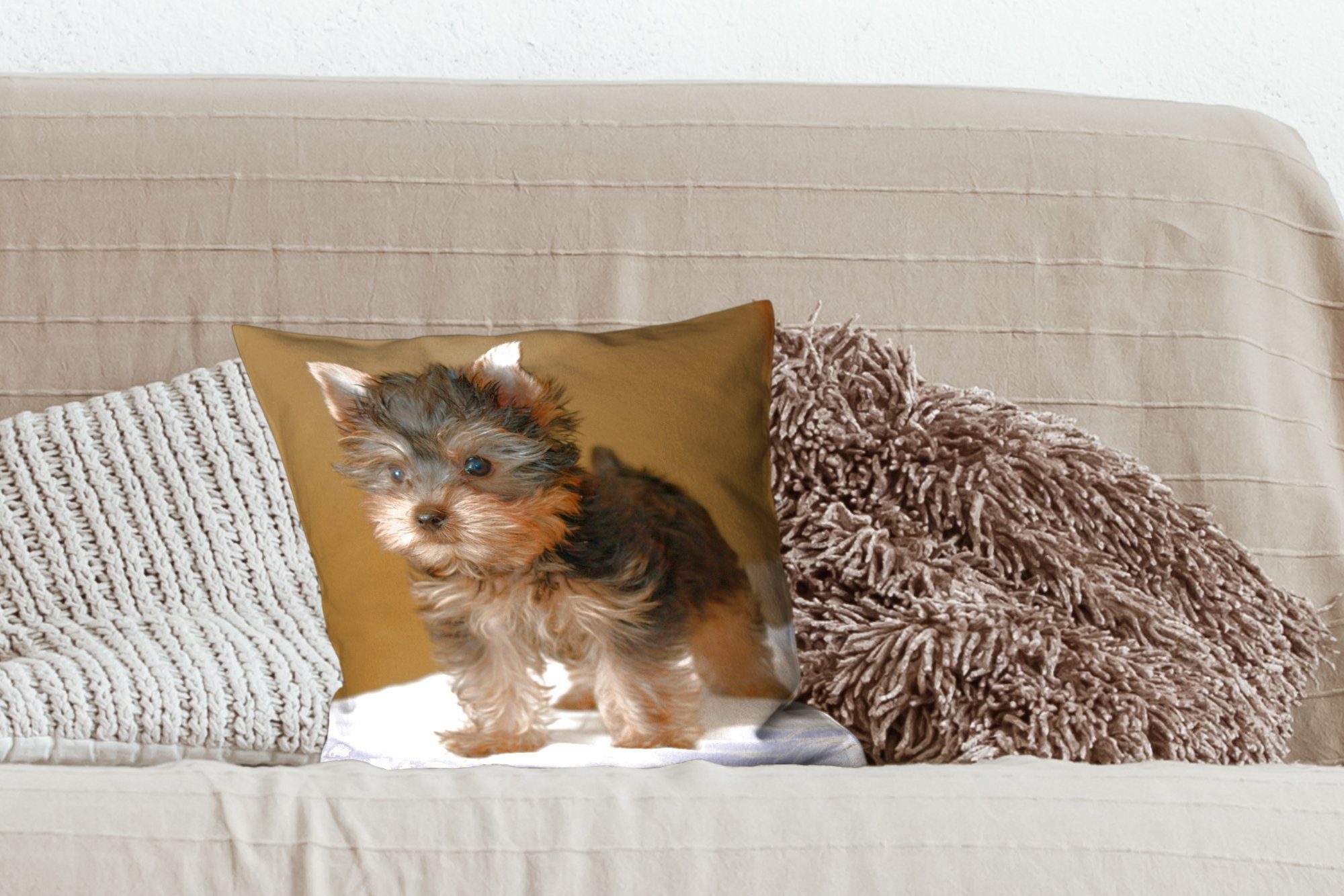 Sofakissen Zierkissen Dekokissen Schlafzimmer, eines Füllung für Terriers, Deko, Yorkshire MuchoWow mit Porträt Wohzimmer,