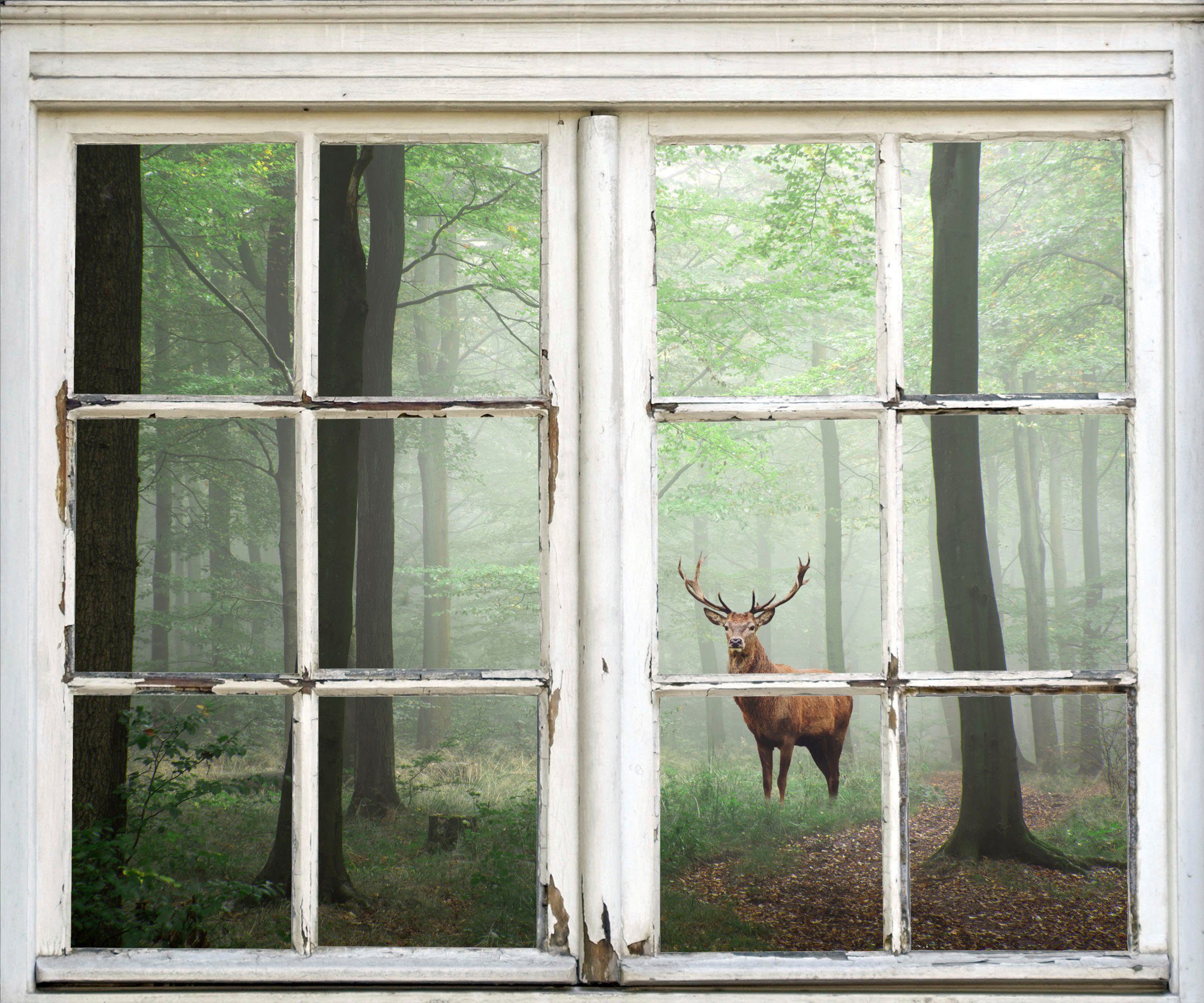 queence Wandsticker Hirsch im Wald, Wandsticker, Wandbild, selbstklebend, 3D, Fenster