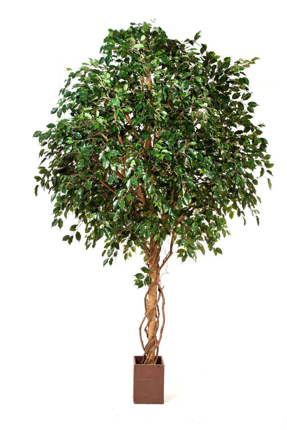 Kunstbaum Künstlicher Ficus Riese RAMZO, 9900 Blätter, grün, 360cm Ficus (Ficus benjamini), artplants, Höhe 360.0 cm