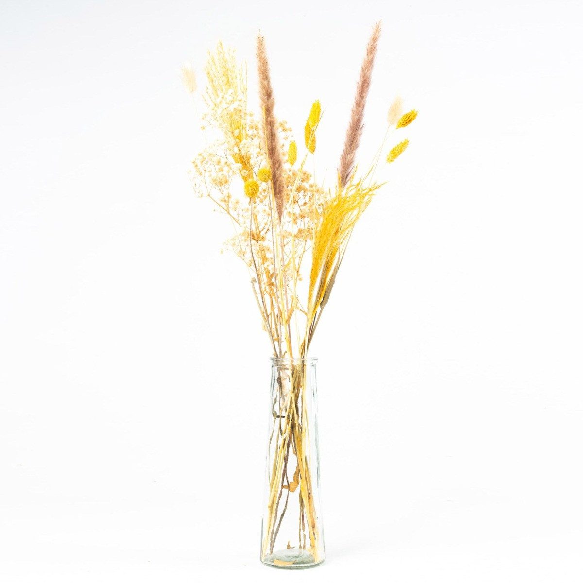 Trockenblume Trockenblumen mit Flasche LOTTCHEN, braun, 77 cm, Ø15 cm, artplants, Höhe 77.0 cm