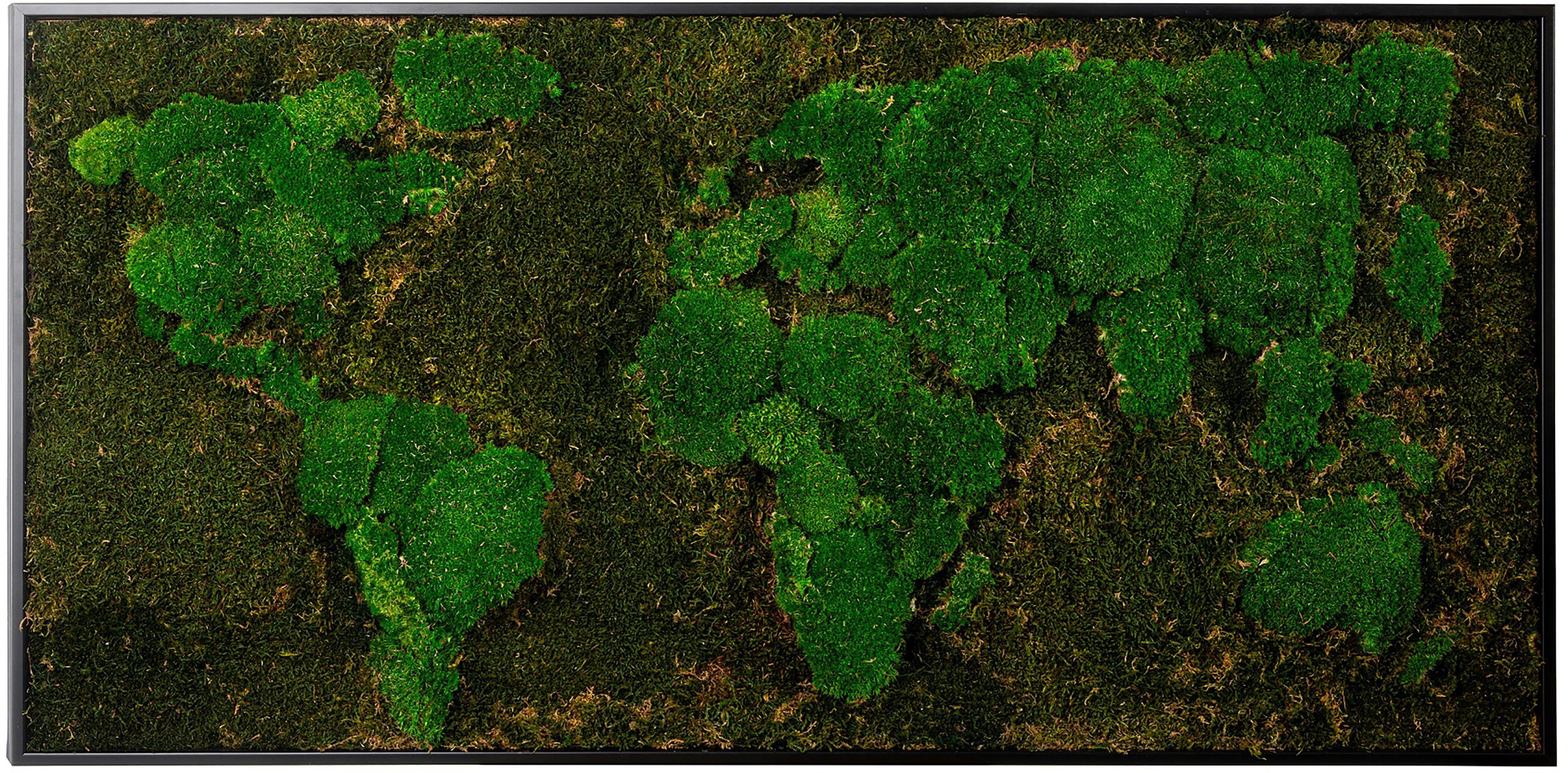 Bönninghoff Bild mit Rahmen Moos, Weltkarte (1 St), jedes Bild ein Unikat, BxH: 120x60 cm