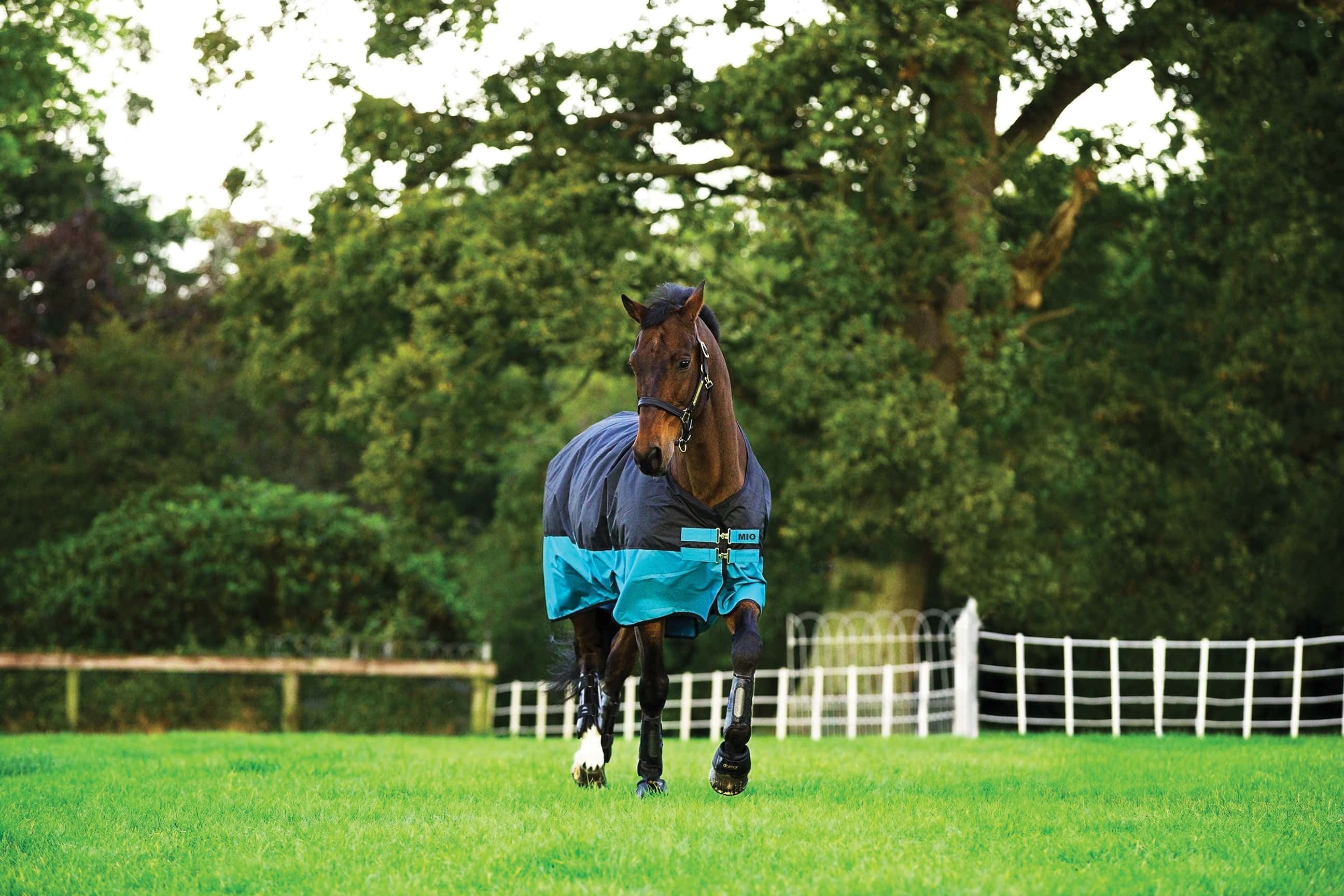 Horseware Ausreitdecke Outdoordecke Mio Turnout Lite 0g