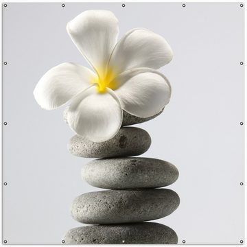 Wallario Sichtschutzzaunmatten Blume auf gestapelten Steinen