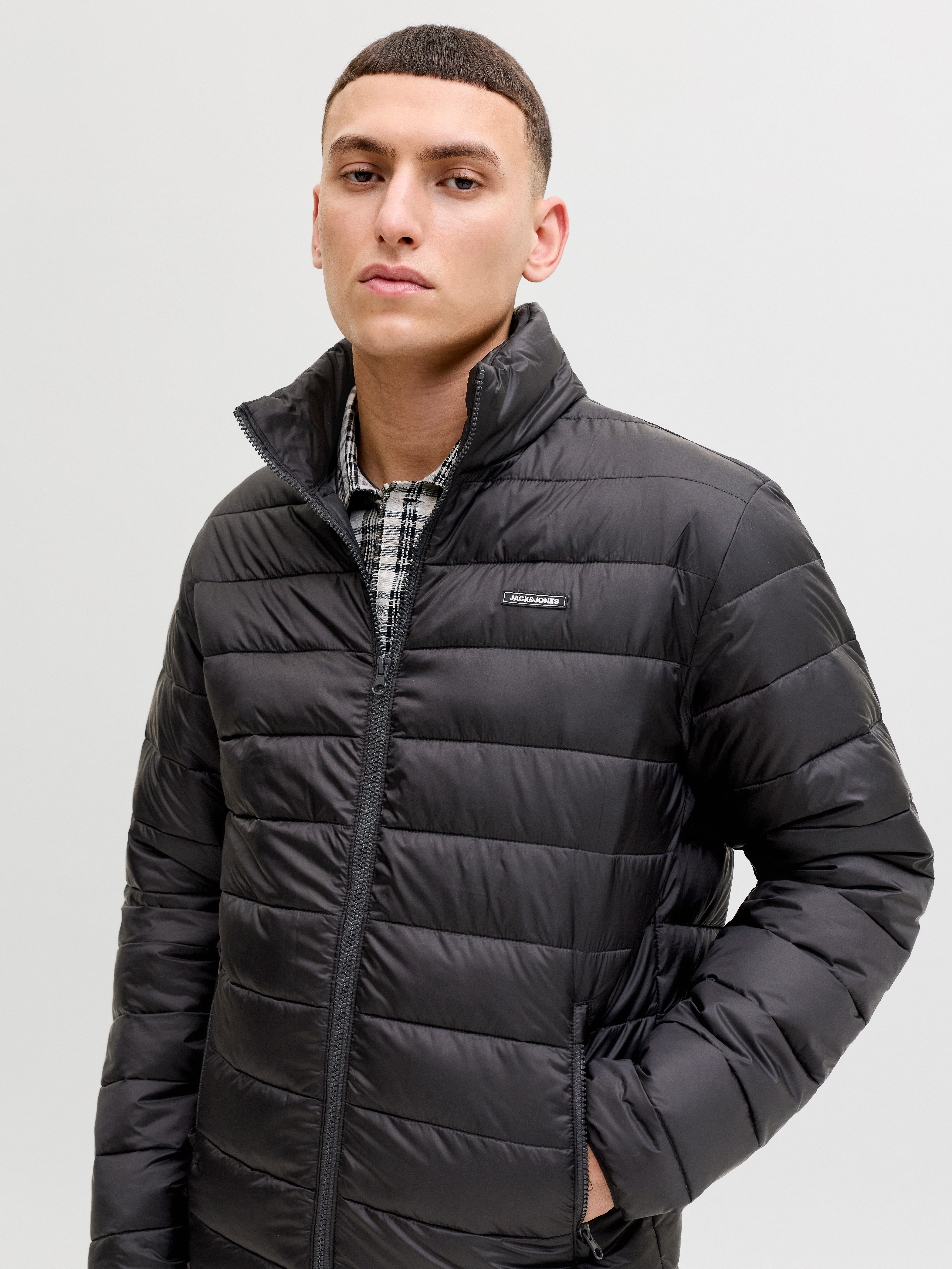 Jack & Jones Steppjacke JJLOUIS LIGHT PUFFER COLLAR günstig online kaufen