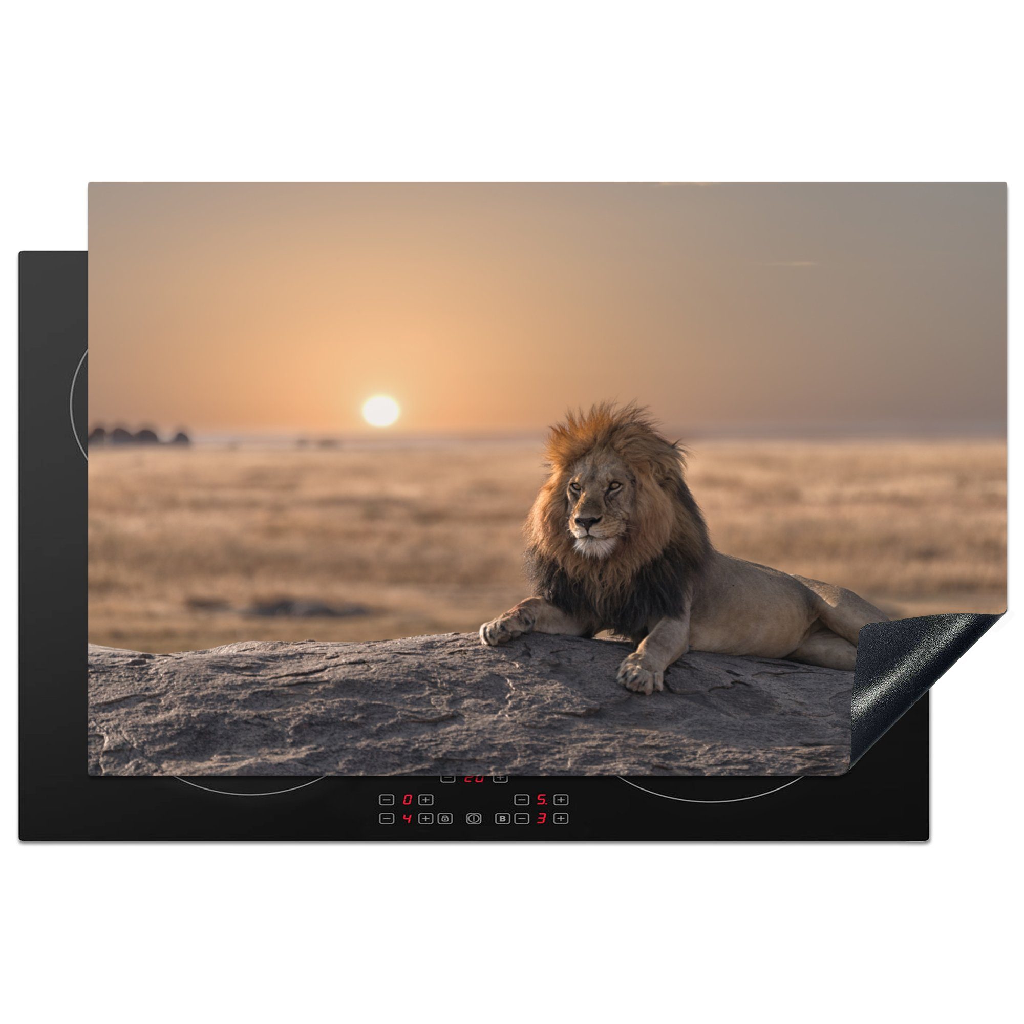 - Afrika, die Löwe Induktionskochfeld (1 MuchoWow Schutz 81x52 für Herdblende-/Abdeckplatte küche, tlg), Vinyl, cm, Ceranfeldabdeckung - Sonne
