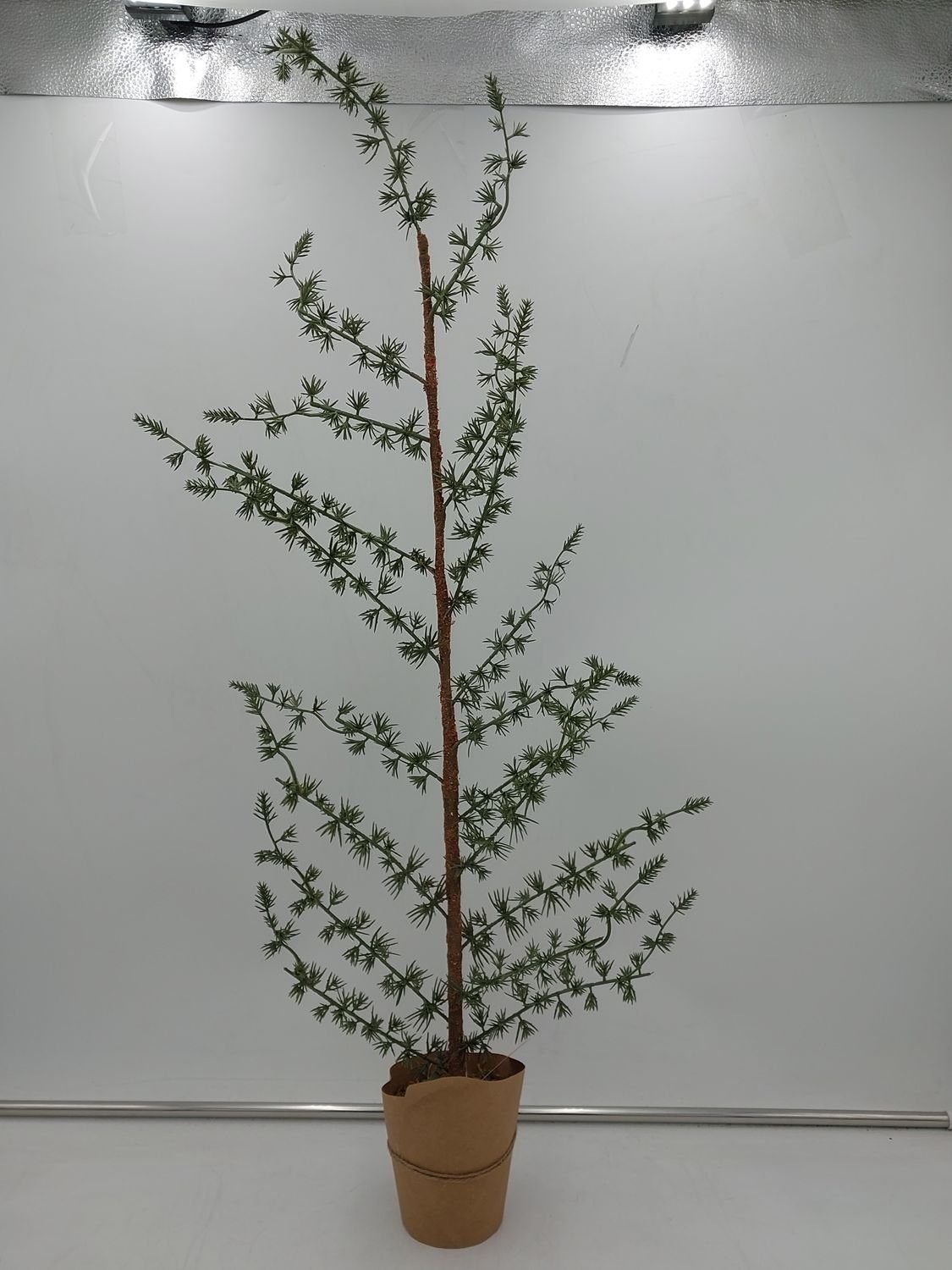 Kunstpflanze, Pflanze 80cm BURI im Weihnachtsdeko Topf künstliche Kunstpflanze Zeder